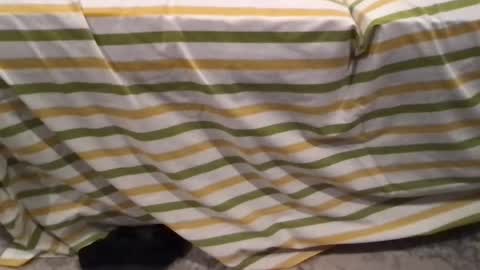 abe_froman2007 online show from February 2026 07:24:01 AM