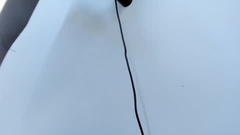 Abigail online show from October 2025 11:11:01 AM