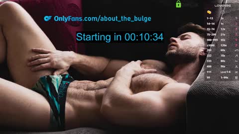 Snapshot of about_the_bulge chatting on March 2025 02:17:02 AM about_the_bulge online show from March 2025 02:17:02 AM