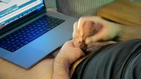 ACHTINCH online show from January 2026 07:24:02 AM