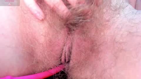 Ada online show from February 2026 09:01:01 PM