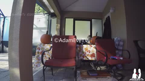 Snapshot of adamevetv chatting on November 2025 08:33:02 PM Adam And Eve online show from November 2025 08:33:02 PM