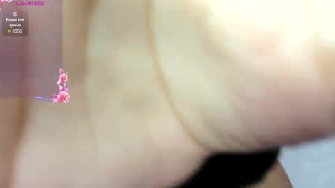 ADAMS Y NIKI online show from November 2025 12:39:02 PM