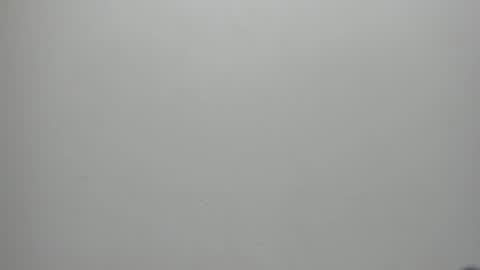 Snapshot of adbel_sady chatting on January 2025 11:17:01 AM adbel sady online show from January 2025 11:17:01 AM