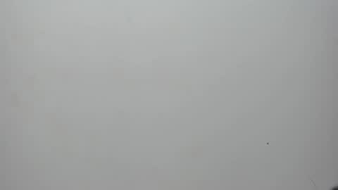 Snapshot of adbel_sady chatting on February 2025 11:15:01 AM adbel sady online show from February 2025 11:15:01 AM