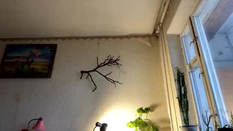 vegans taste better online show from October 2025 05:37:01 AM