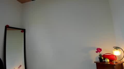 Snapshot of afrodita3123 chatting on June 2026 02:49:02 PM Lorena online show from June 2026 02:49:02 PM