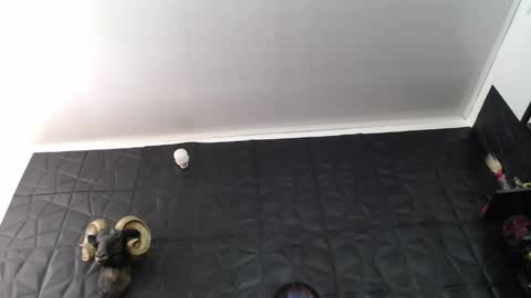 Snapshot of agata_darkness chatting on June 2026 03:40:01 PM Miss Agata online show from June 2026 03:40:01 PM