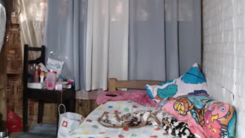 Markii online show from December 2024 03:45:01 AM