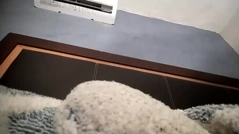 airoon91 online show from November 2025 05:24:01 AM