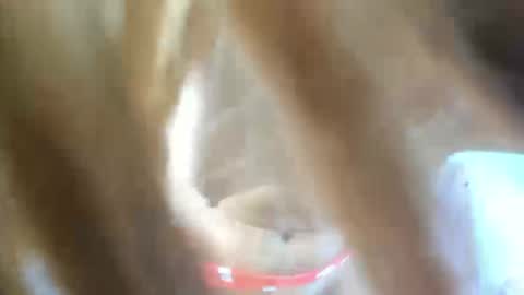 Snapshot of aisha_violeht chatting on February 2026 02:37:02 PM aisha_violeht online show from February 2026 02:37:02 PM