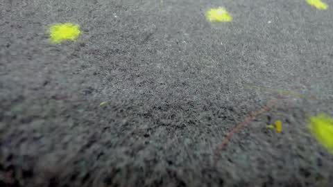 Aisha online show from March 2026 08:19:01 AM