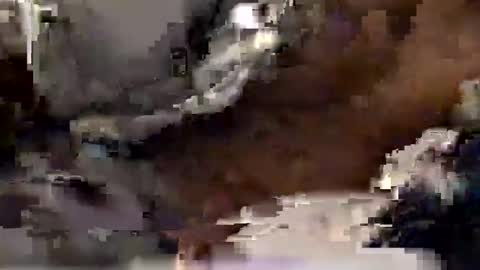 aj297914 online show from December 2025 07:59:02 AM