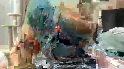 Akira Zay online show from March 2026 07:54:02 AM