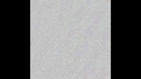 Al Fox  Miko Fortuni  online show from January 2025 11:15:01 PM