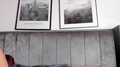 Alaia Carter online show from February 2026 03:27:01 AM