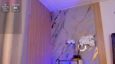   Schedule 700a.m - 200p.m Col hour online show from November 2025 12:27:01 PM