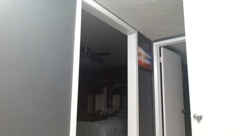 Alanna Rack online show from March 2026 01:15:01 PM