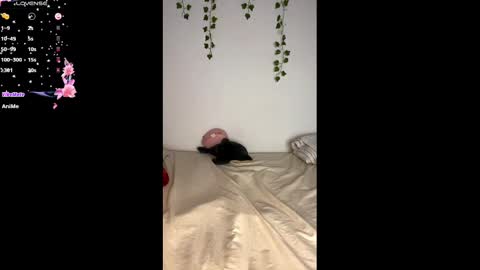 Alaska online show from February 2025 11:08:02 AM