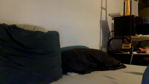 albandant online show from December 2024 08:23:02 AM