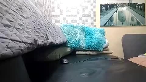 haden online show from April 2026 02:23:02 AM