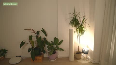 Ale online show from April 2026 11:49:01 PM