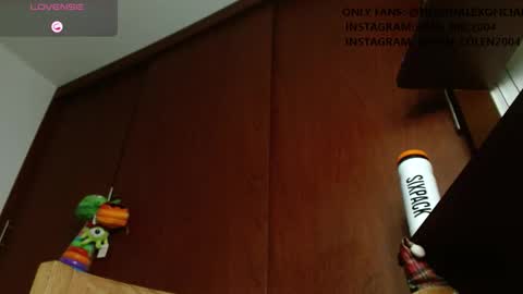 Snapshot of alex_bbc2004 chatting on March 2026 11:33:01 PM alex bbc2004 online show from March 2026 11:33:01 PM