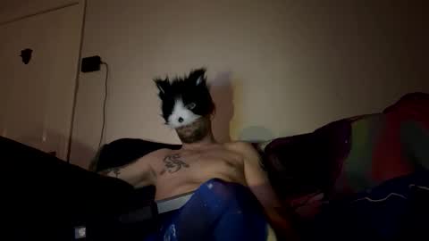 alex_essex69 online show from February 2026 12:42:02 AM