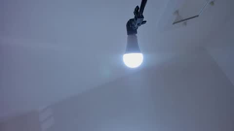 Alexa  online show from December 2024 07:44:01 PM