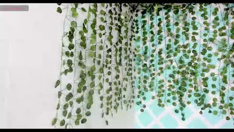 chicos hot online show from November 2025 02:21:01 PM