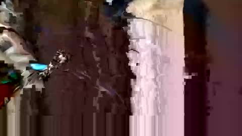 alexey932 online show from November 2025 10:03:01 AM