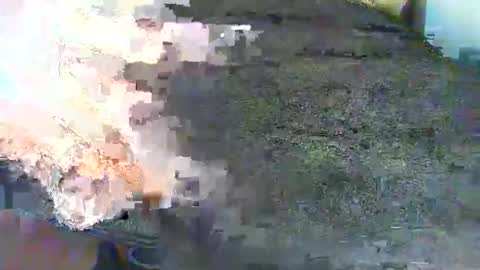 Alex online show from October 2025 03:03:01 PM