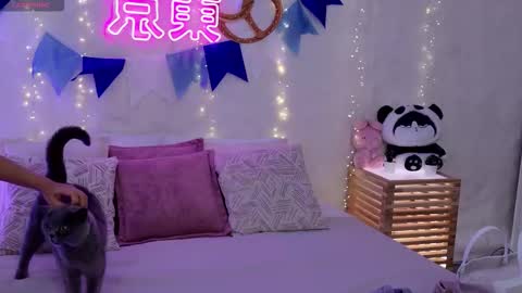 Alice in Wonderland  online show from September 2025 05:23:01 AM