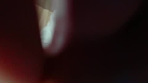 bigclit daddy squirt bigdildo fit online show from November 2025 06:02:02 AM