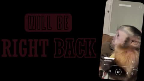 Snapshot of alice_sofia chatting on March 2026 01:07:02 PM Sofia online show from March 2026 01:07:02 PM