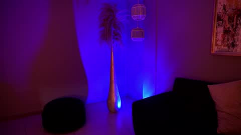 Alice online show from February 2026 12:37:02 AM