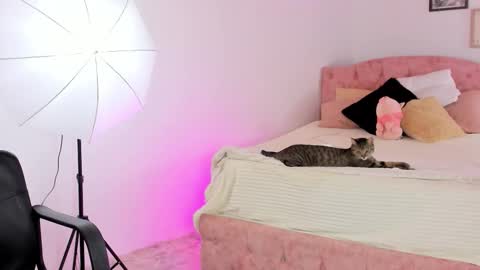 Snapshot of alicekiing_ chatting on February 2026 04:24:01 AM ALICEKIING online show from February 2026 04:24:01 AM