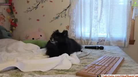 Alice Rivers ---- Enter my public Discord-  online show from February 2026 09:30:02 PM