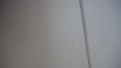 Ali online show from February 2025 12:05:02 PM