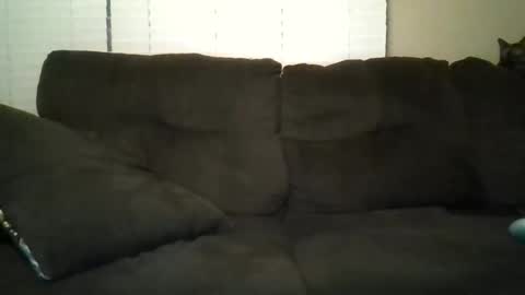 aliendick2274 online show from February 2026 08:23:02 AM