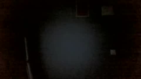 Chris online show from April 2026 11:44:01 PM