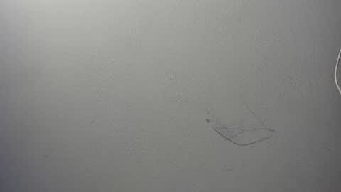 Snapshot of alison_smith372242 chatting on January 2025 06:51:02 PM alison smith online show from January 2025 06:51:02 PM