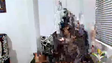 Alisonturbay online show from April 2026 12:23:01 PM