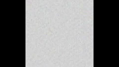 Alisse online show from October 2025 12:17:01 PM