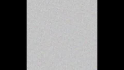 Alisse online show from February 2026 12:01:02 PM