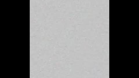 Alisse online show from February 2026 12:13:02 PM