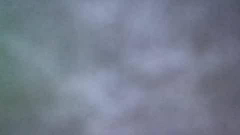 Snapshot of all_most_sane chatting on May 2026 02:45:01 PM all_most_sane online show from May 2026 02:45:01 PM