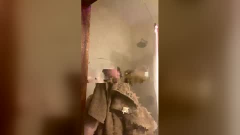 allisonlove2 online show from April 2026 11:32:02 PM