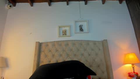 allisson online show from February 2026 12:04:02 PM