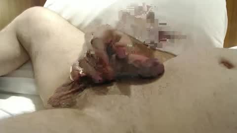 Frank online show from January 2025 10:22:01 PM